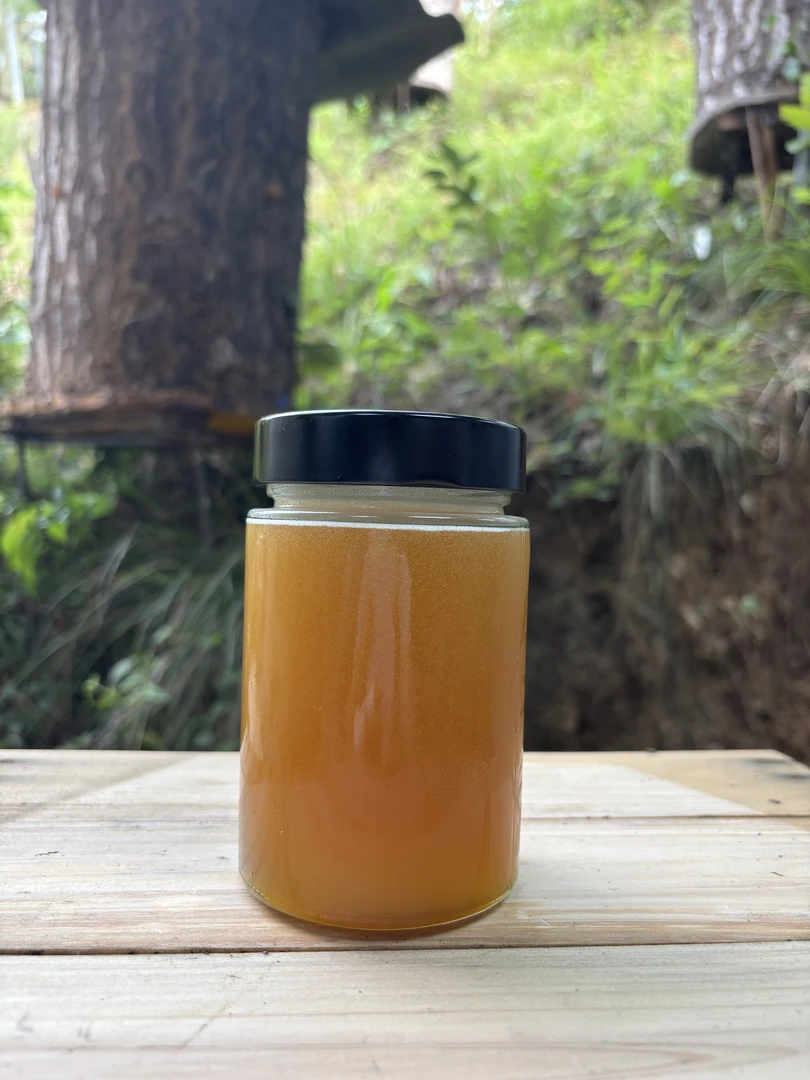 深山里古法饲养真正一年割一次的百花蜜深山土蜂蜜