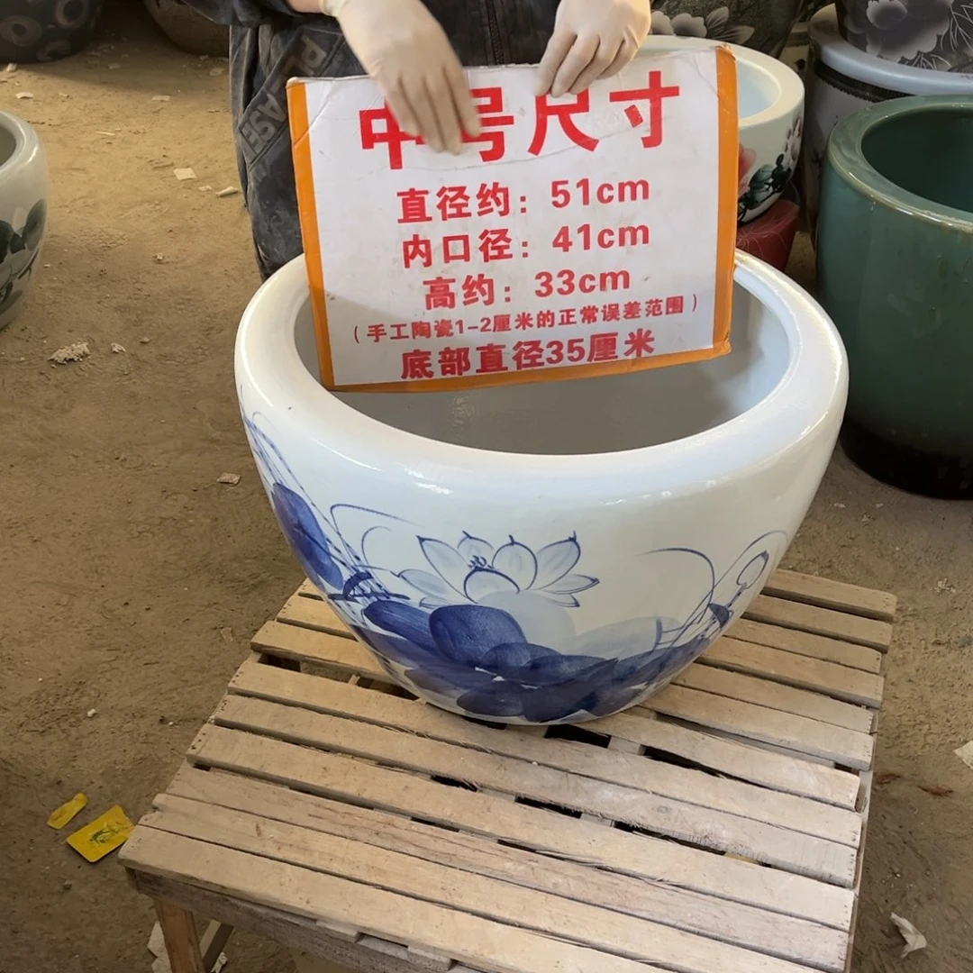 瓷片圆口兰荷花50.88888888
