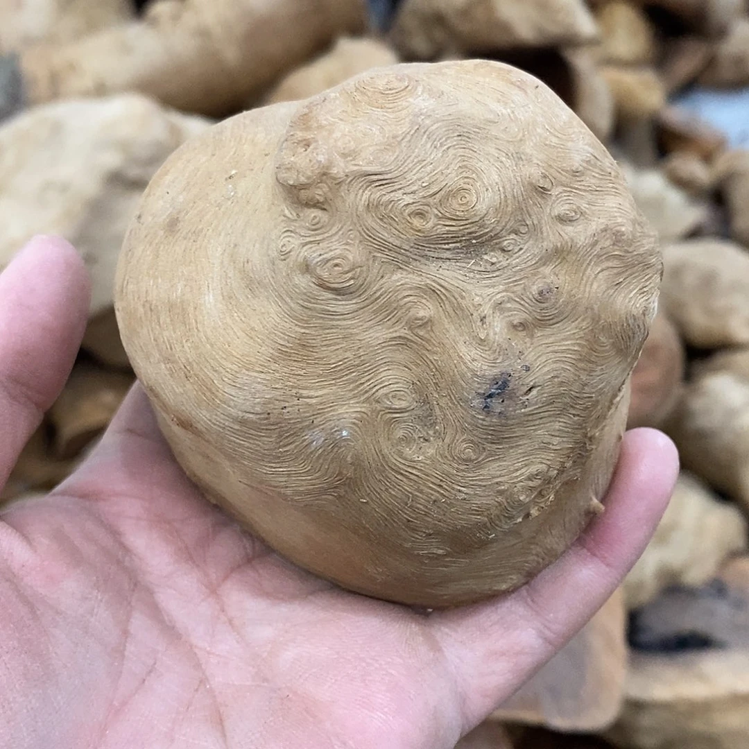 荔枝木谢*荔枝木原料