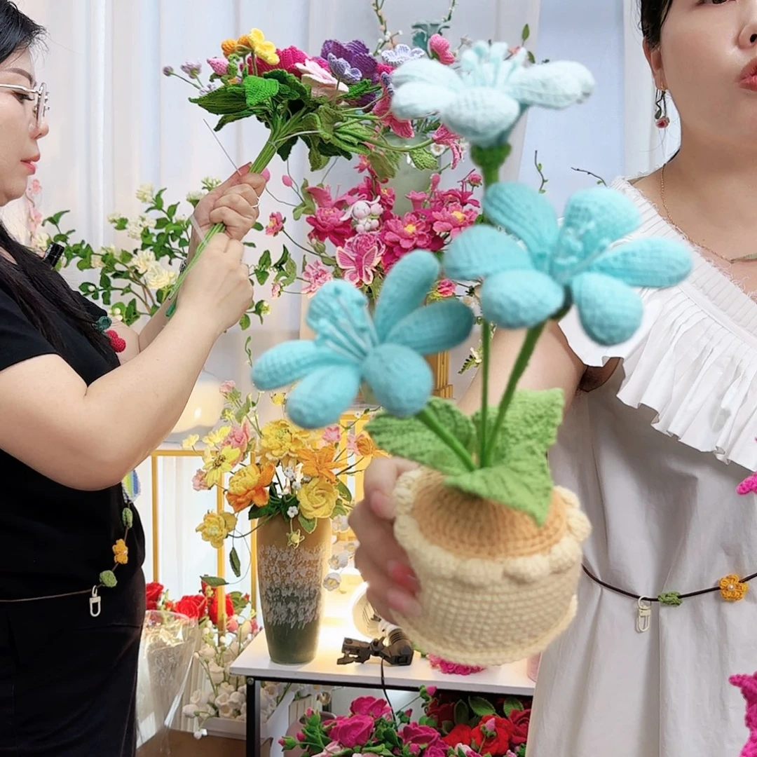 莱赛尔纤维棉手工钩织盆栽