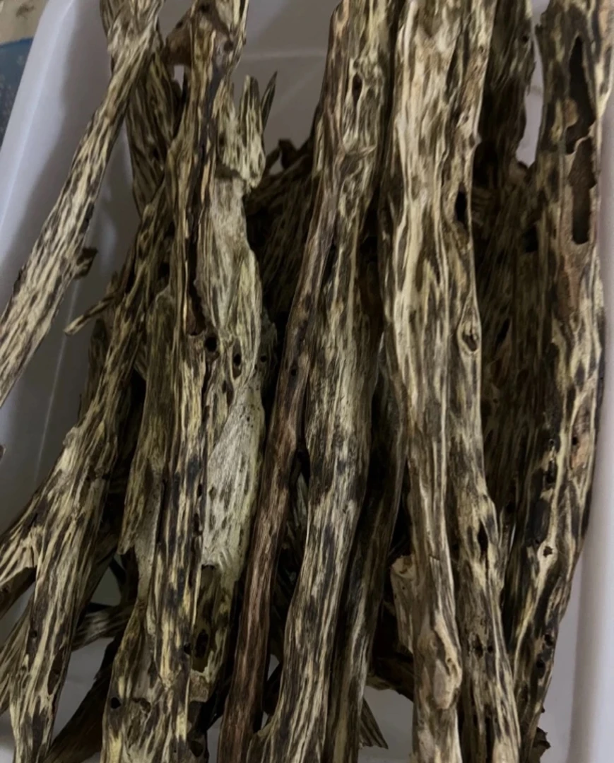 天然虫漏材料楠木