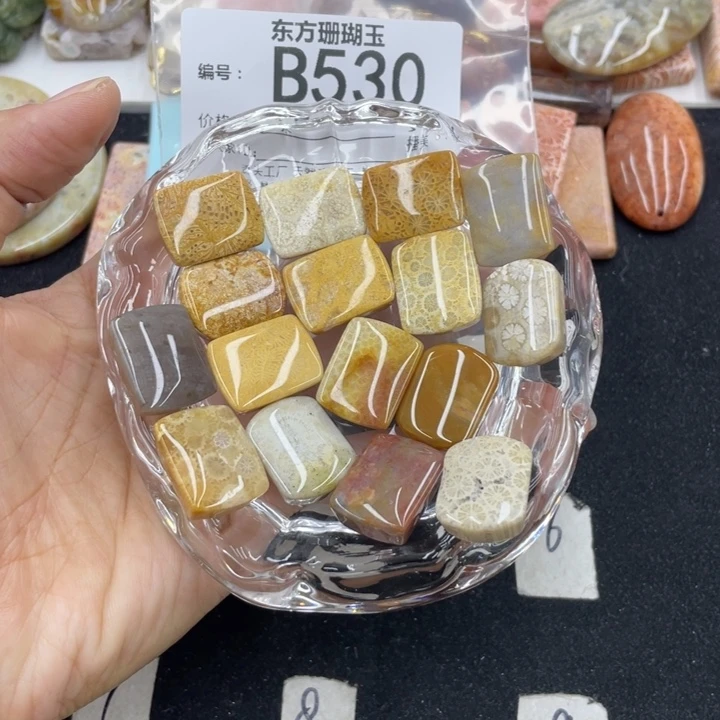 硅化珊瑚（珊瑚玉）颈饰合金鱼