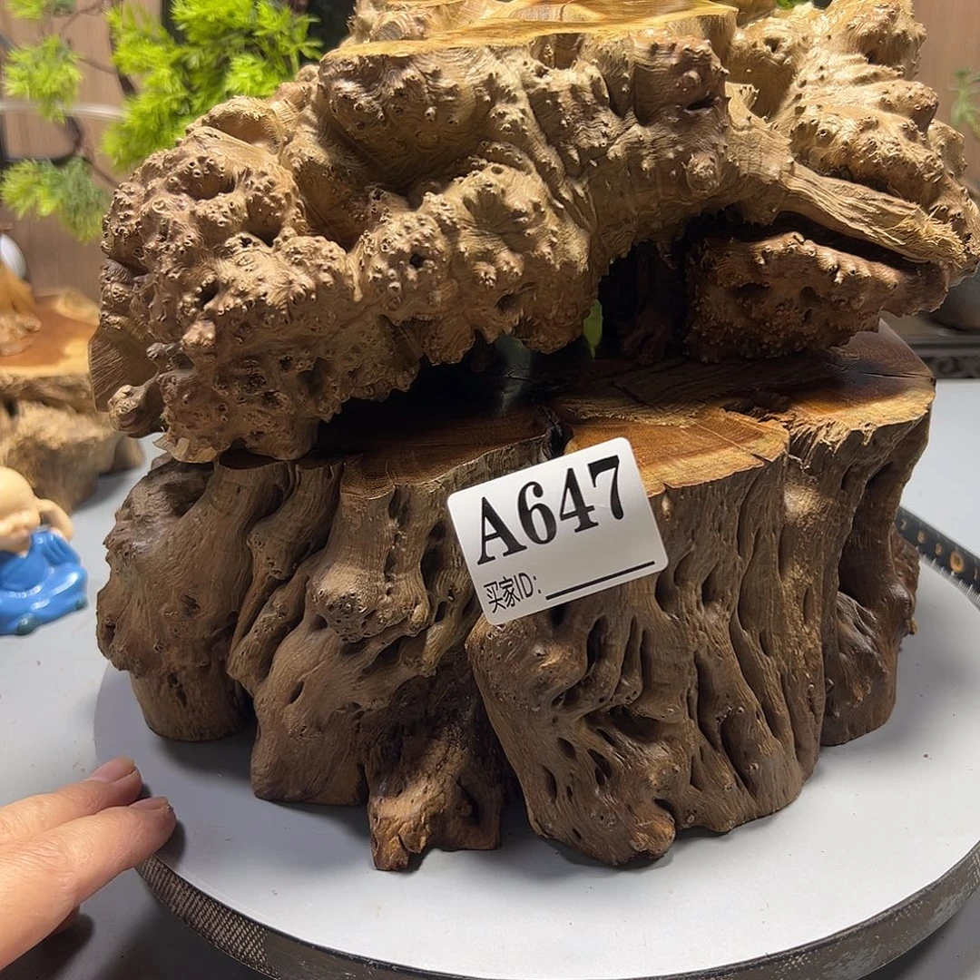 用****大果紫檀（缅甸花梨）