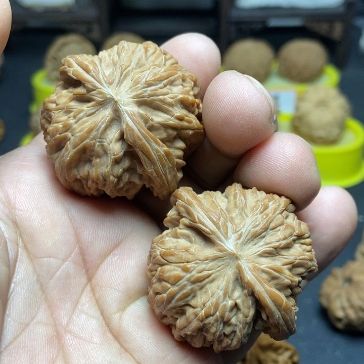 核桃山地磨盘001