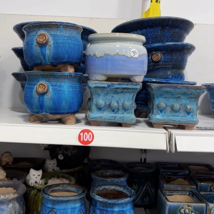 5个盆中的两位小朋友