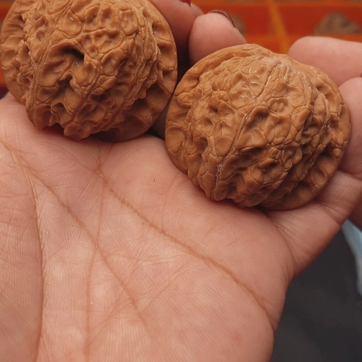 核桃血麒麟41尺核桃