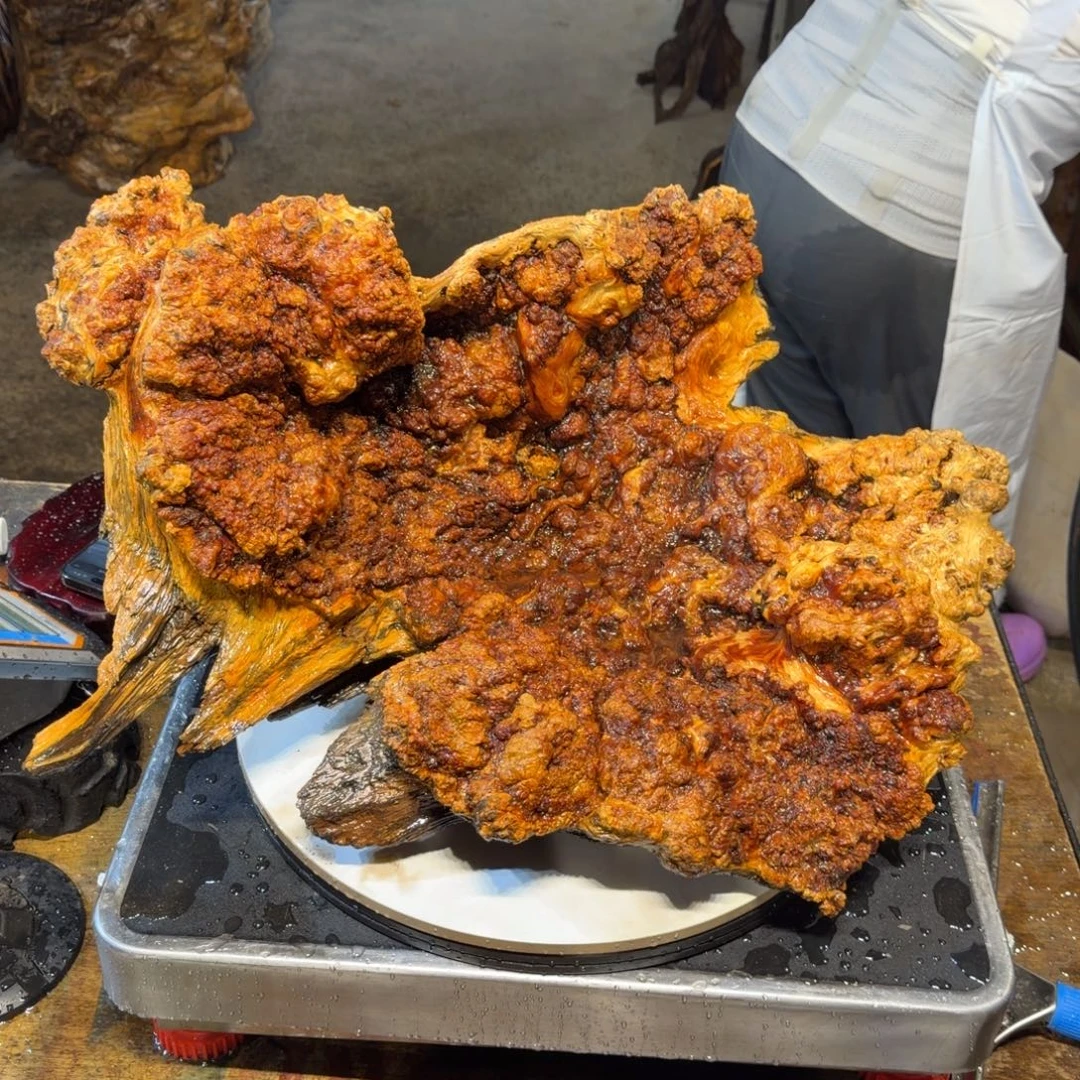 海***）木王一刀琥珀木摆件97