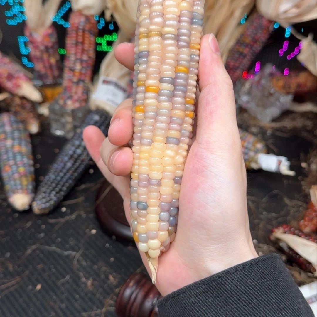 柏香籽/百香籽吊坠"*