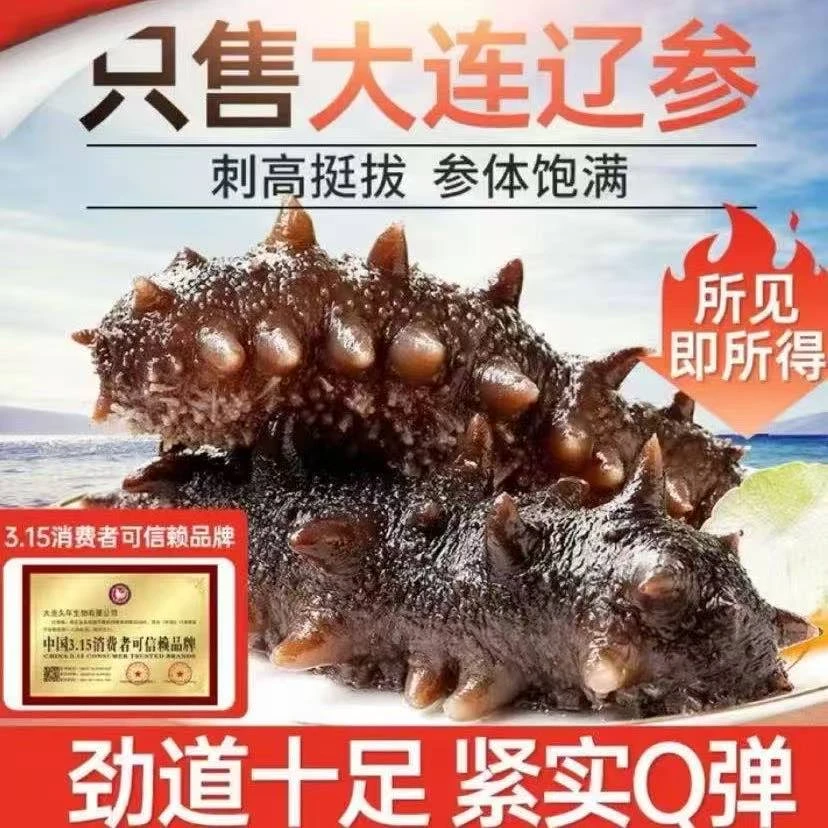 ［顺丰空运］17根新鲜大连辽参软糯Q弹饱满冷链 单根 7-9cm