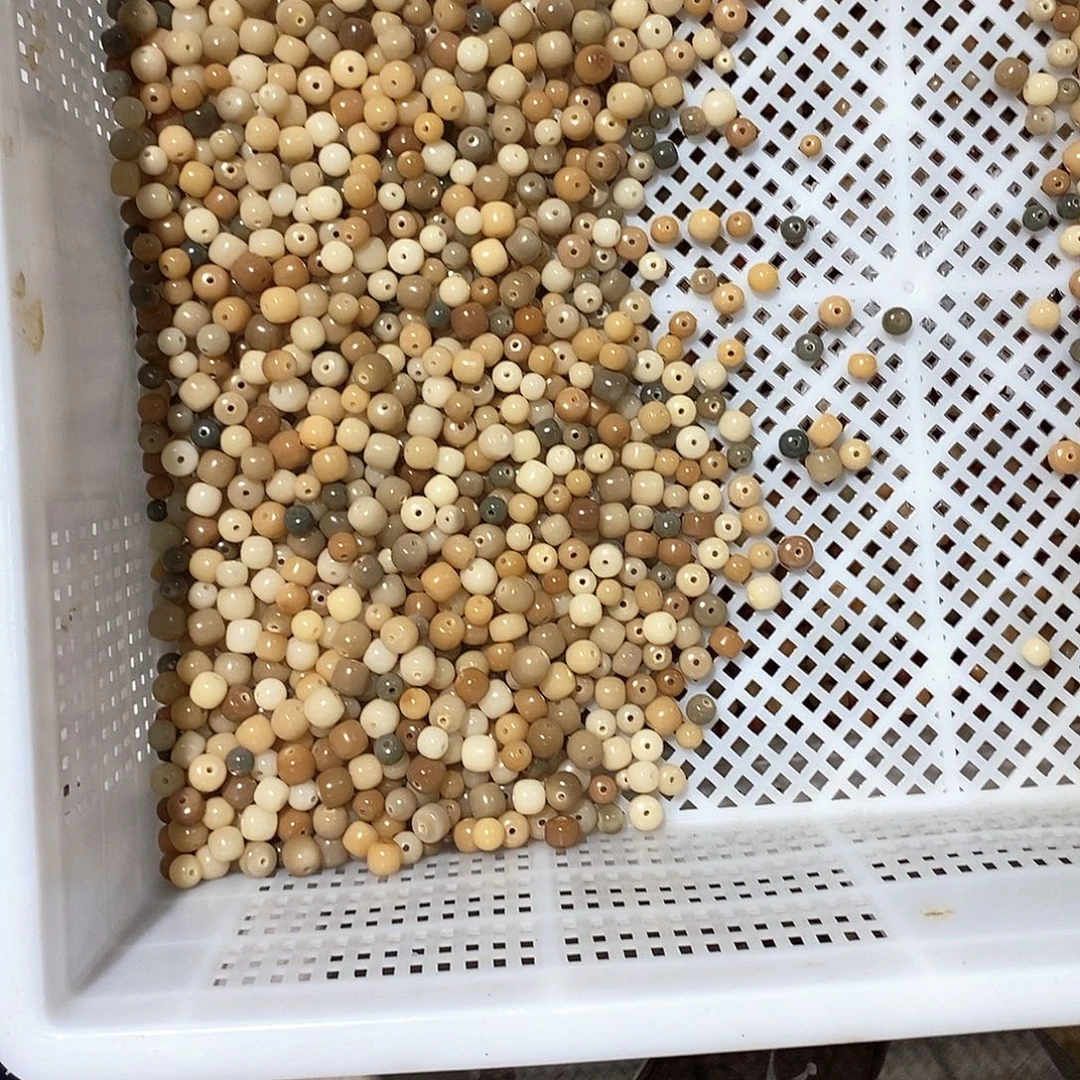 吊坠菩提根/象牙果