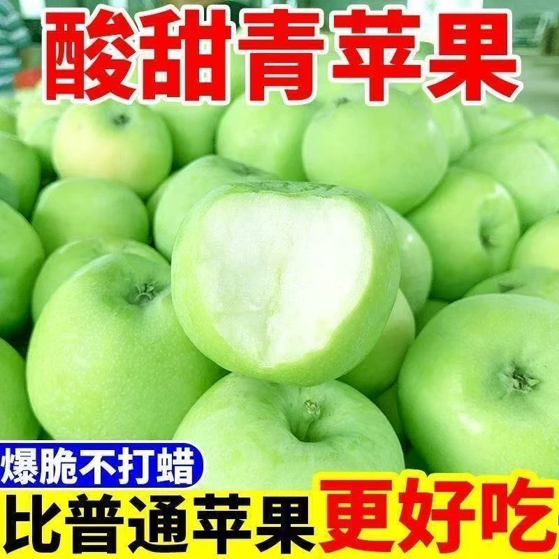 头茬现摘青苹果新鲜应季酸甜多汁适合孕妇食用
