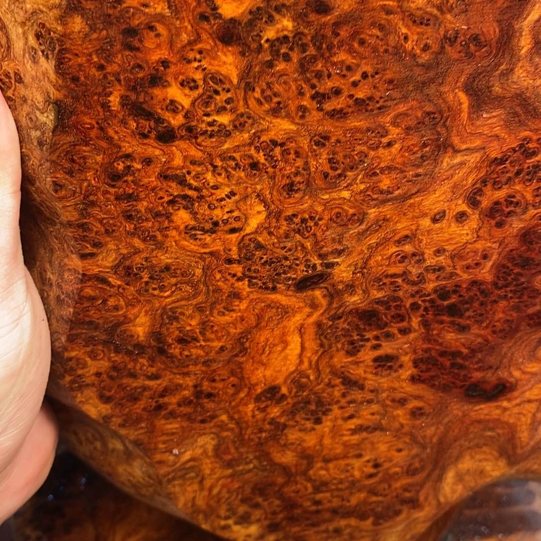 木老*20满瘤疤精取一串