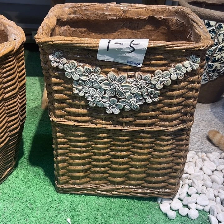 高37宽31，85555555