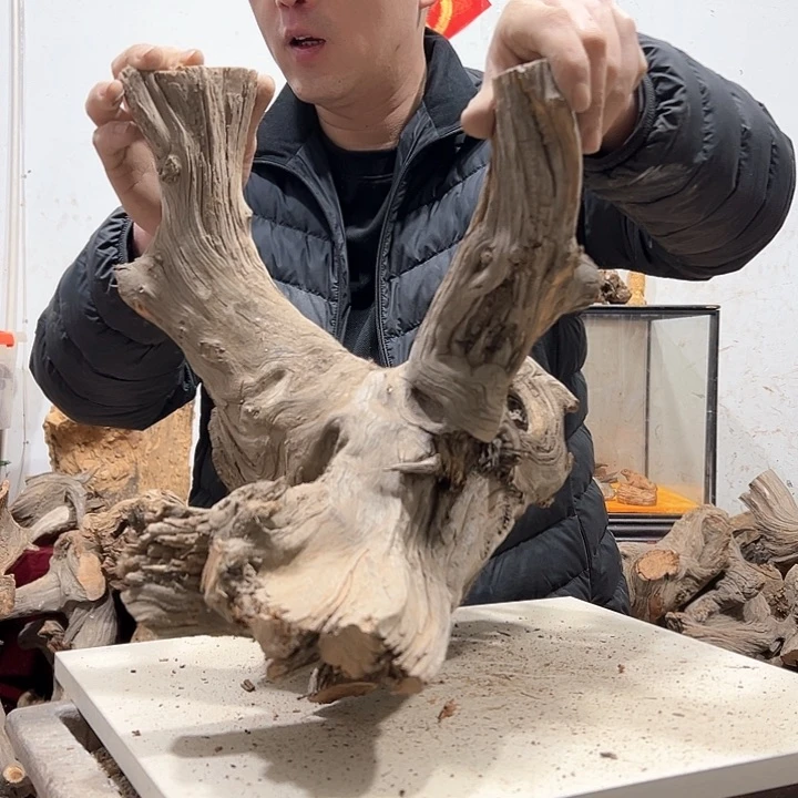 柏木宝*堂我们的生活是以