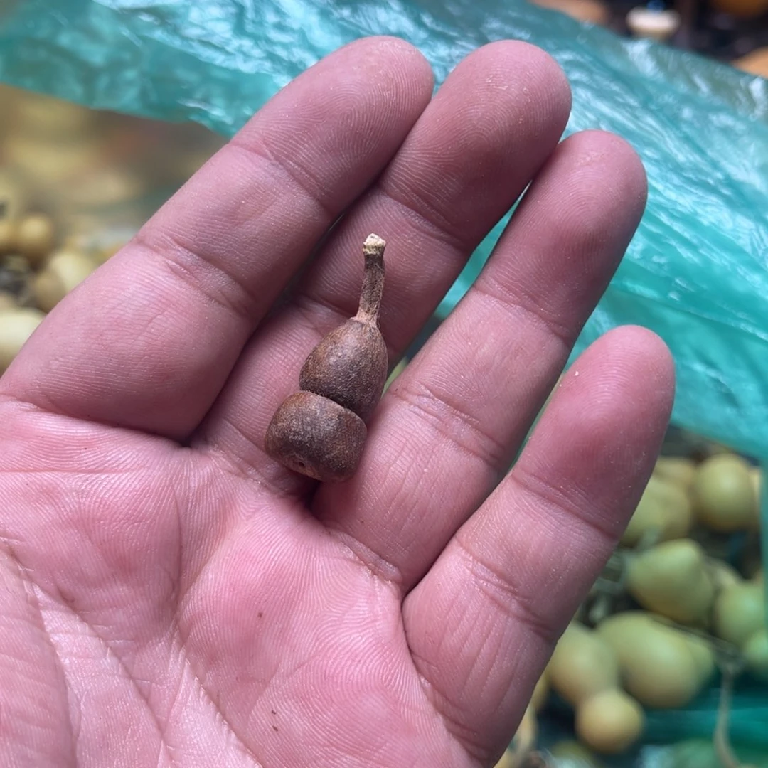 心***心你是什么情况呀啊呀这