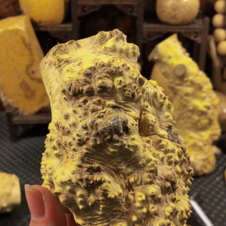 木幸**随木料木料木料女童木j