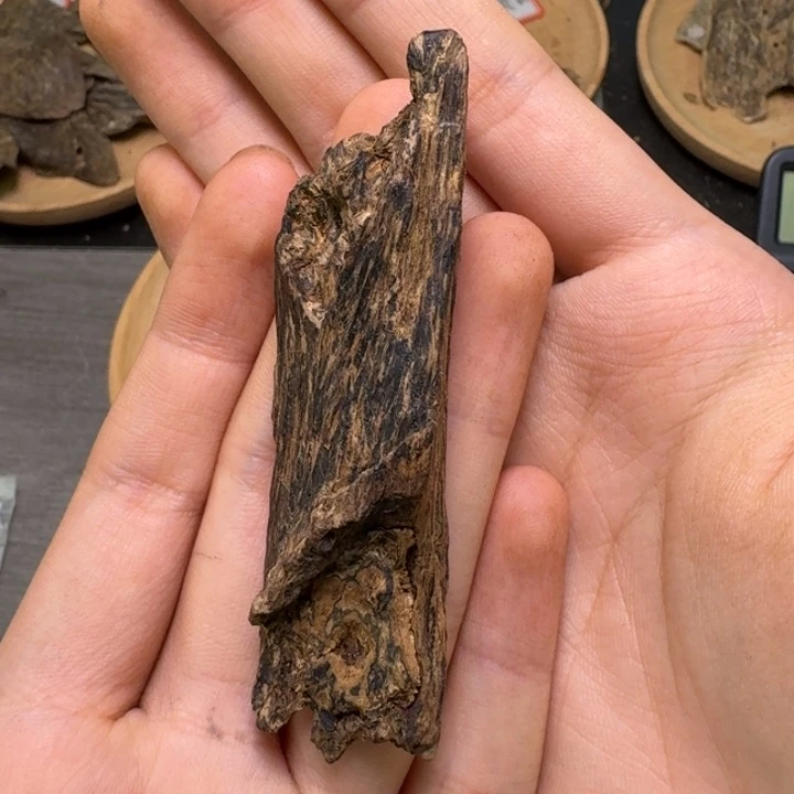 风***北加里曼丹9.9分沉