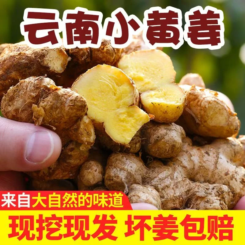 （助农专属）2024新鲜云南小黄姜新鲜嫩姜现挖产地直发带箱3斤