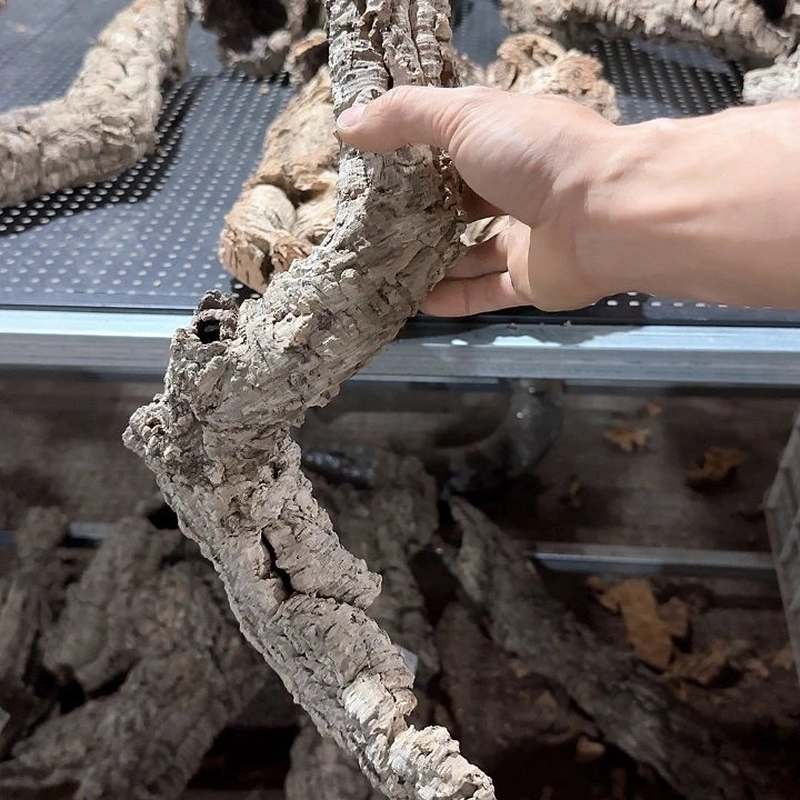 禾***河完全开放一物一拍一物一发