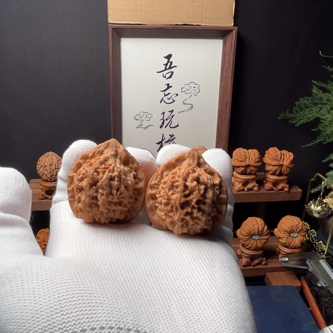 核桃39mm全品公子帽