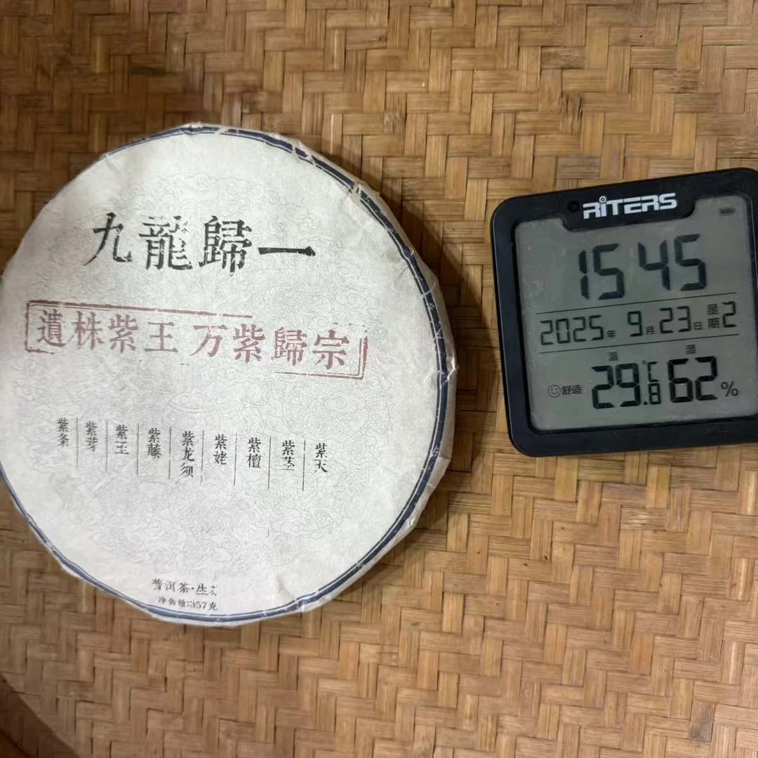 2018年九龙归一遗株紫王万紫归宗普洱生茶饼357克M1445号9月23日