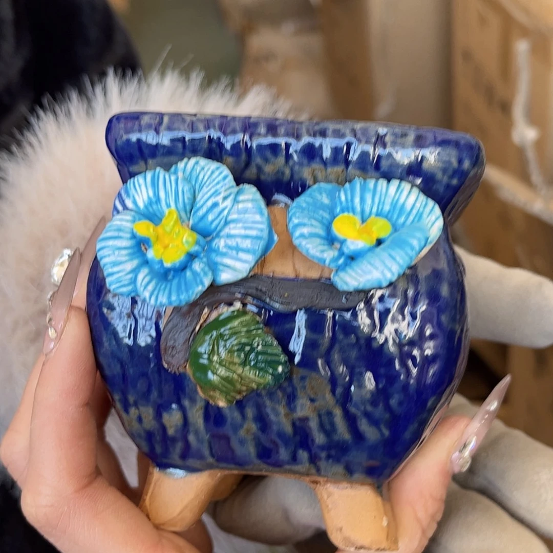 【闪购商品】红陶福利