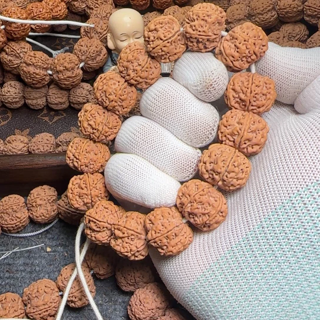 菩提金刚菩提22+双龙6瓣