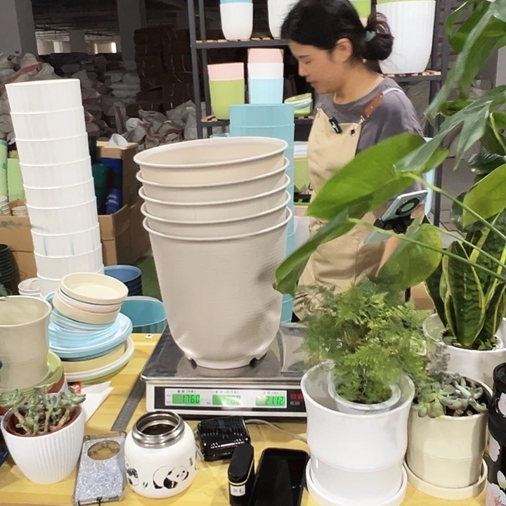 高陶口27高27米色无托5只