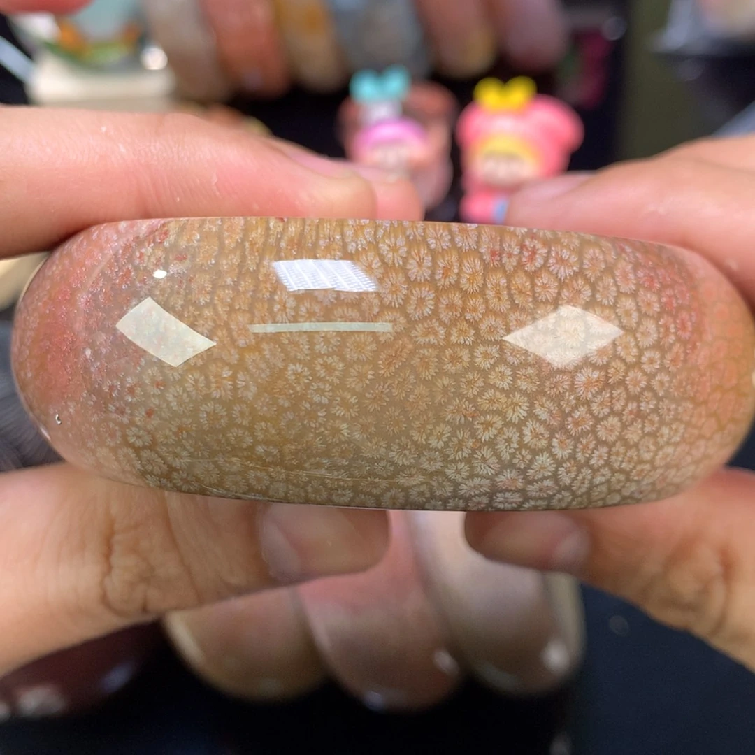 【闪购商品】颈饰未镶嵌硅化珊瑚（珊瑚玉）65号能做65内枫叶