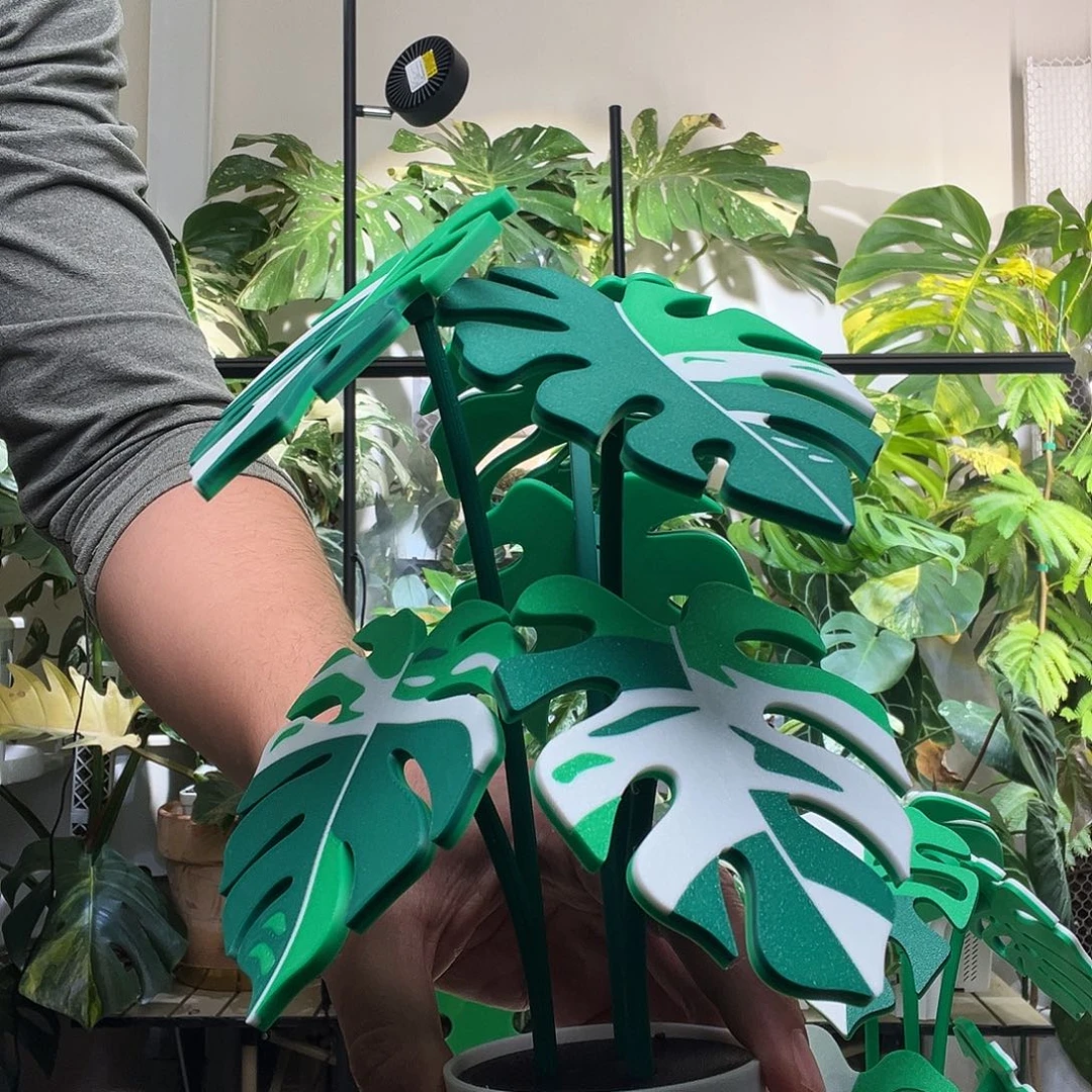 3d打印白锦龟背竹杯垫