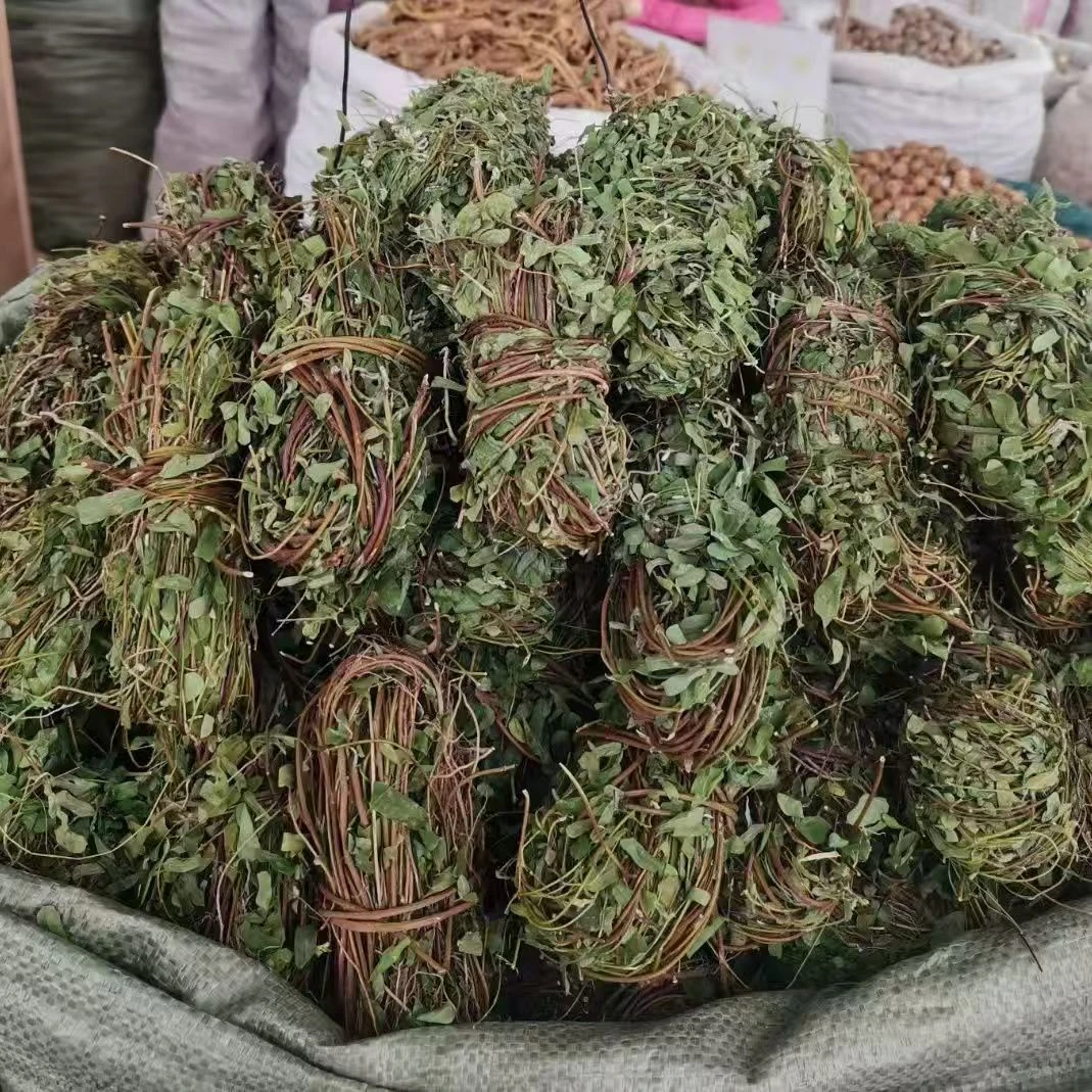 广西正宗鸡骨草野生鸡骨草叶干货中草药甘味草泡茶煲汤料新鲜批发