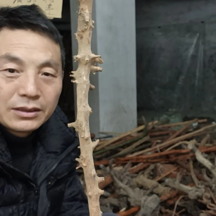 稳定木原**你贵州檬子木   铁马鞭   根艺  半成品