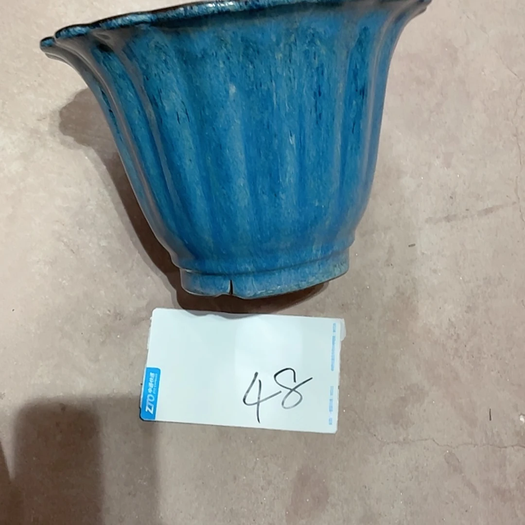 【闪购商品】紫砂花盆淡****8兰花946464554676767676