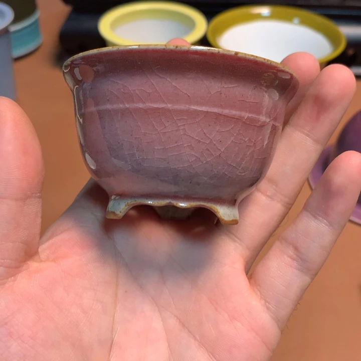 语***阳俏俏俏俏俏俏呜呜呜