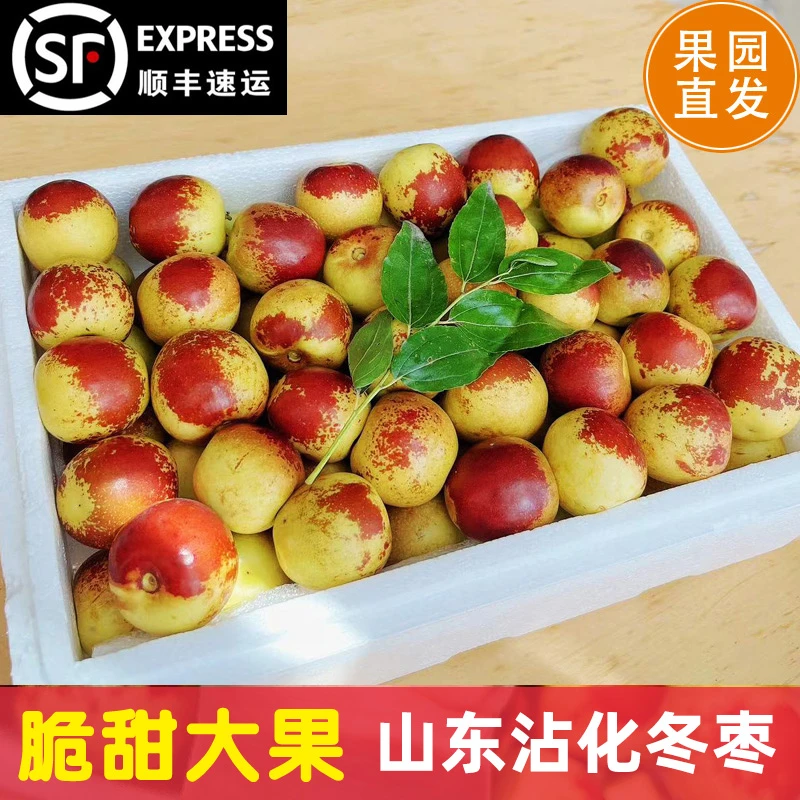 末浅【顺丰包邮】正宗山东沾化冬枣新鲜现摘应季水果皮薄脆甜大果