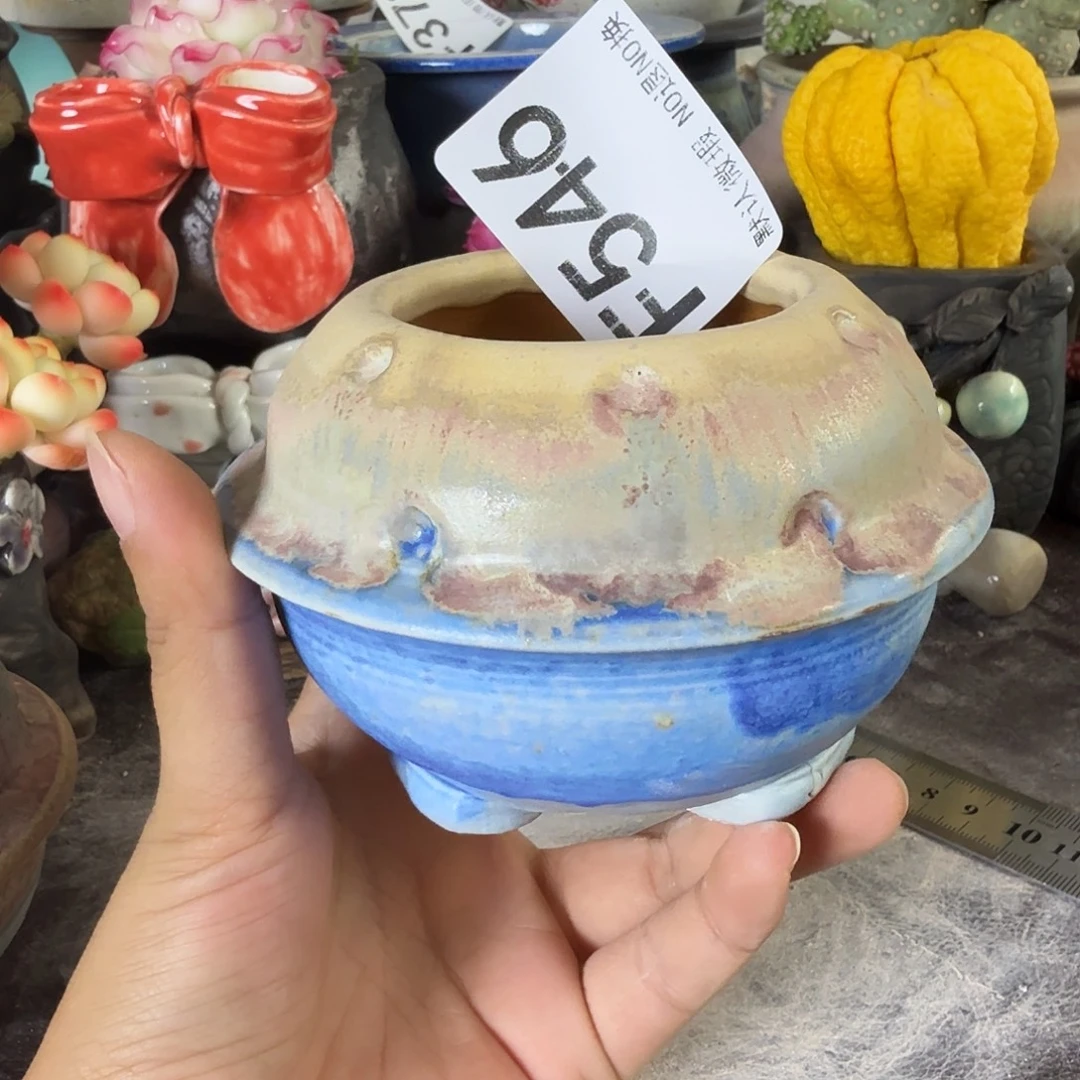 重庆小燕子欢迎大家546