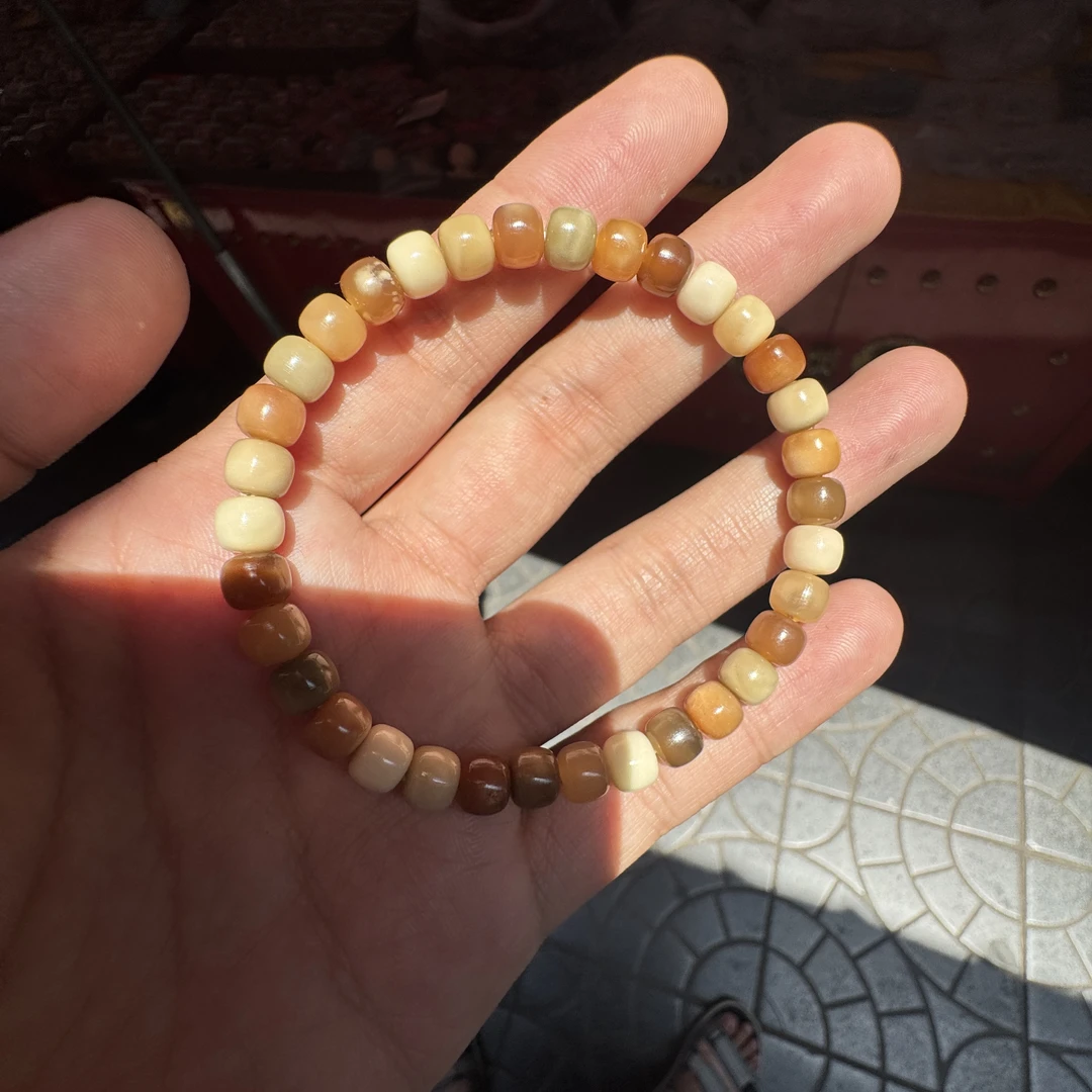 【D6211】龙脊菩提“缤纷多宝”7mm 左右老型原生态