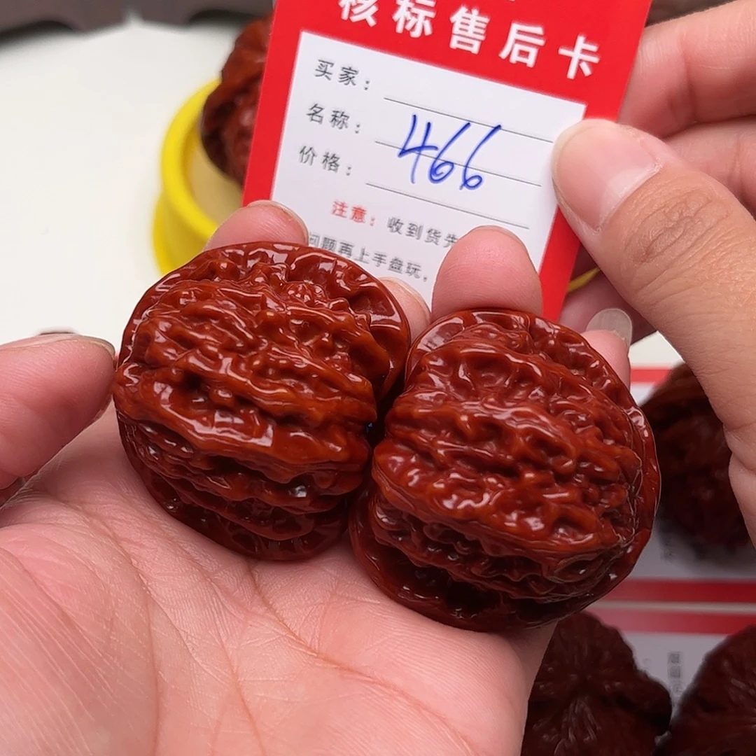 466。41尺。 白狮子