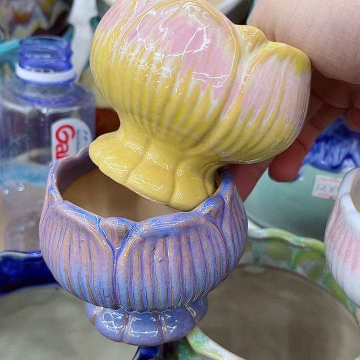 多肉植物陶瓷花盆