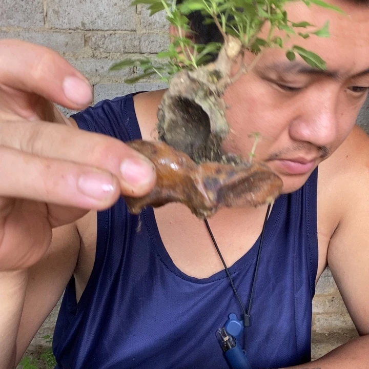 茜****9退款拉黑一物一拍168