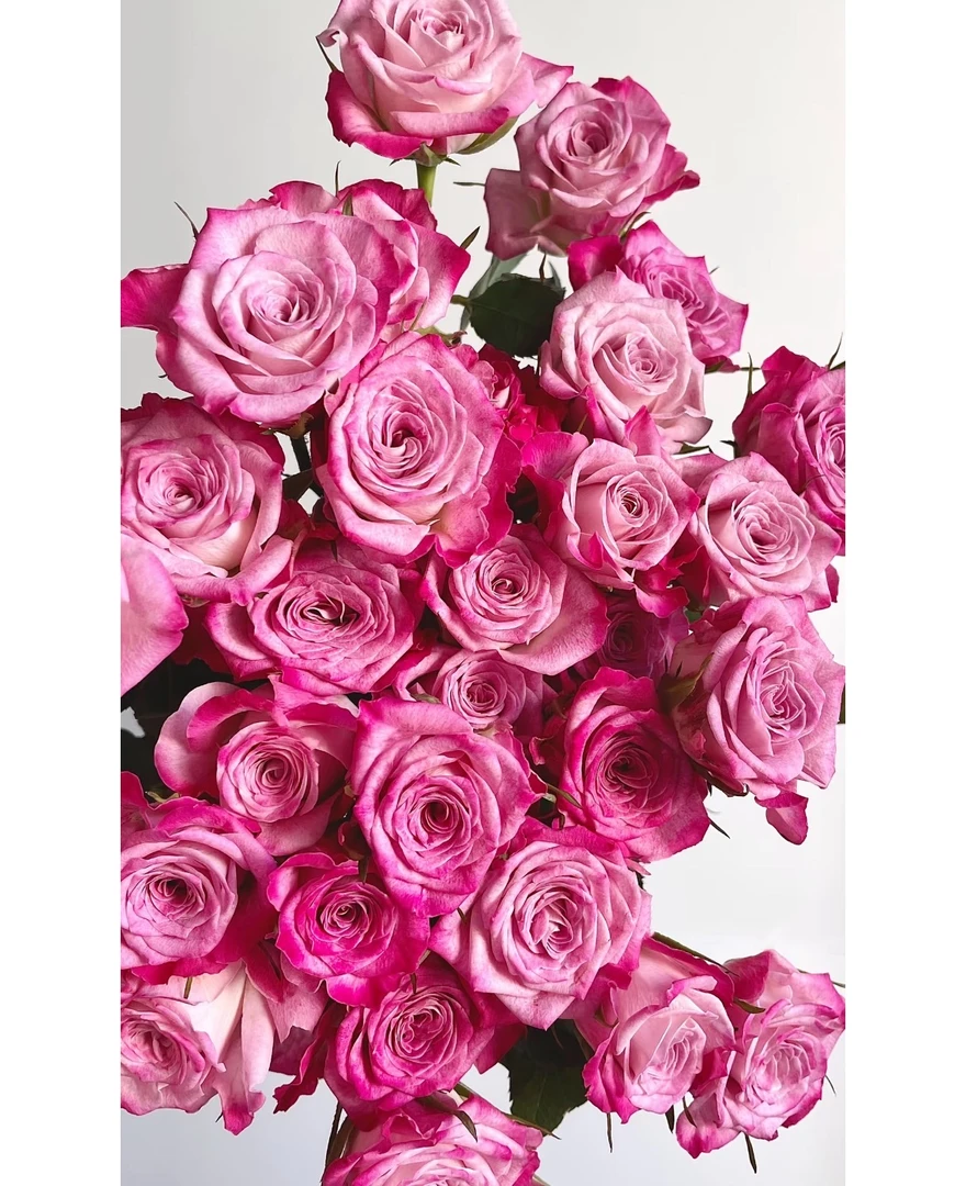 【花花酱甄选A级 】多头花花公子一单包邮云南基地直发