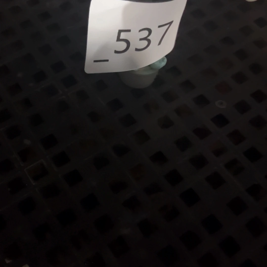 红陶a****n537花盆1个