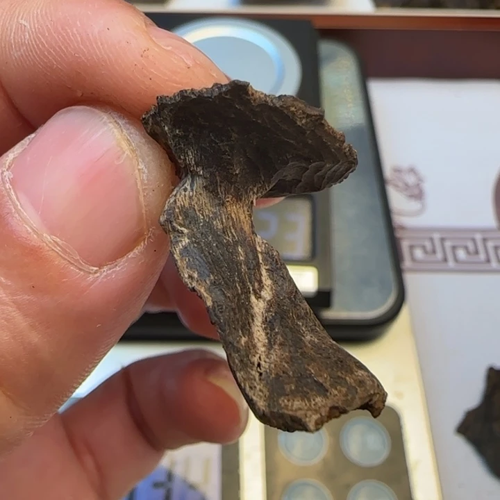 摆件沉香海南沉水包壳0.8克