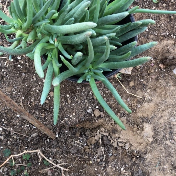 涟*奔咯哦你一物一拍158