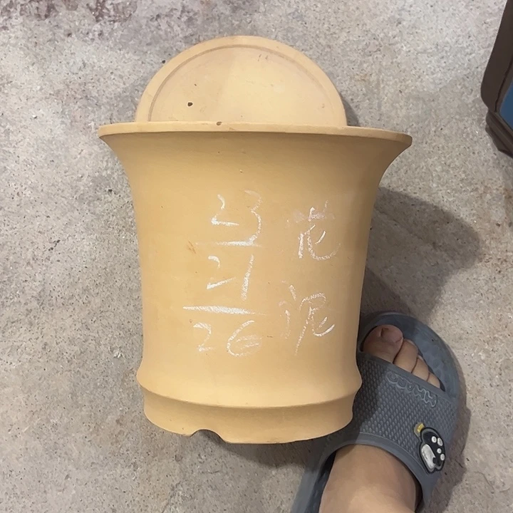 紫砂艺术学院音乐系