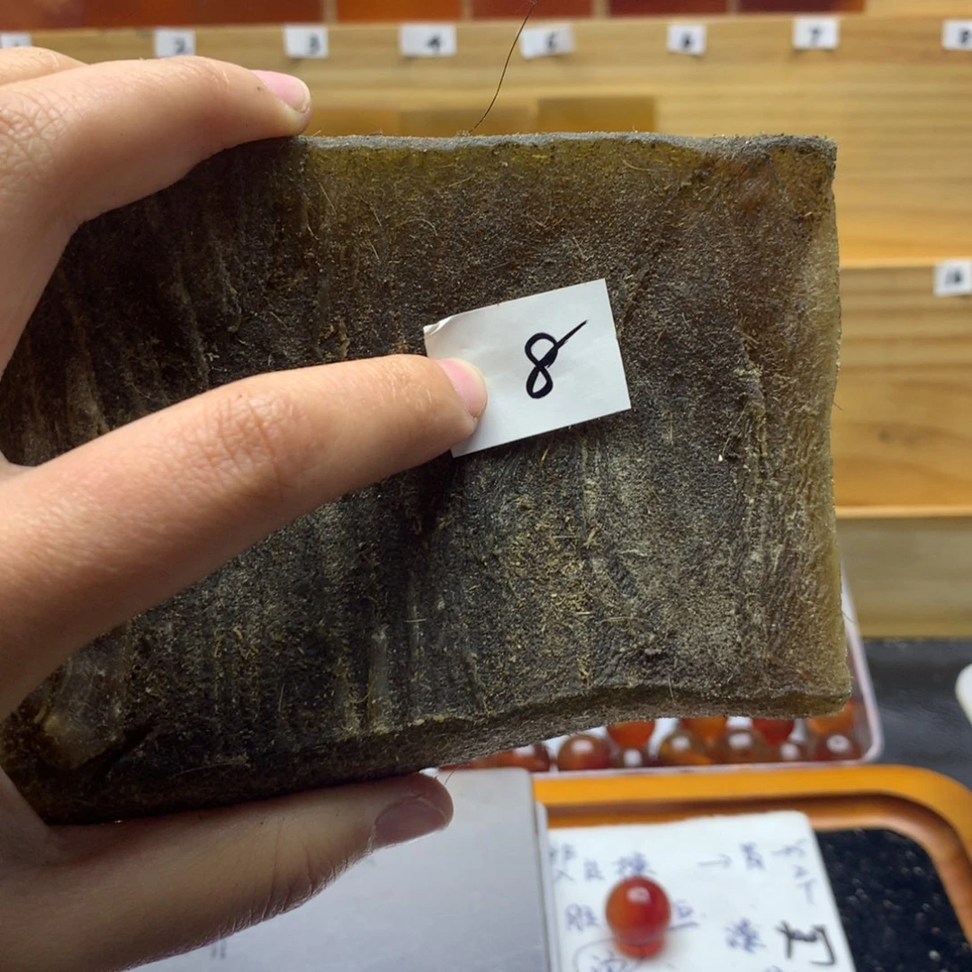 香榧木原料208g5555556666666