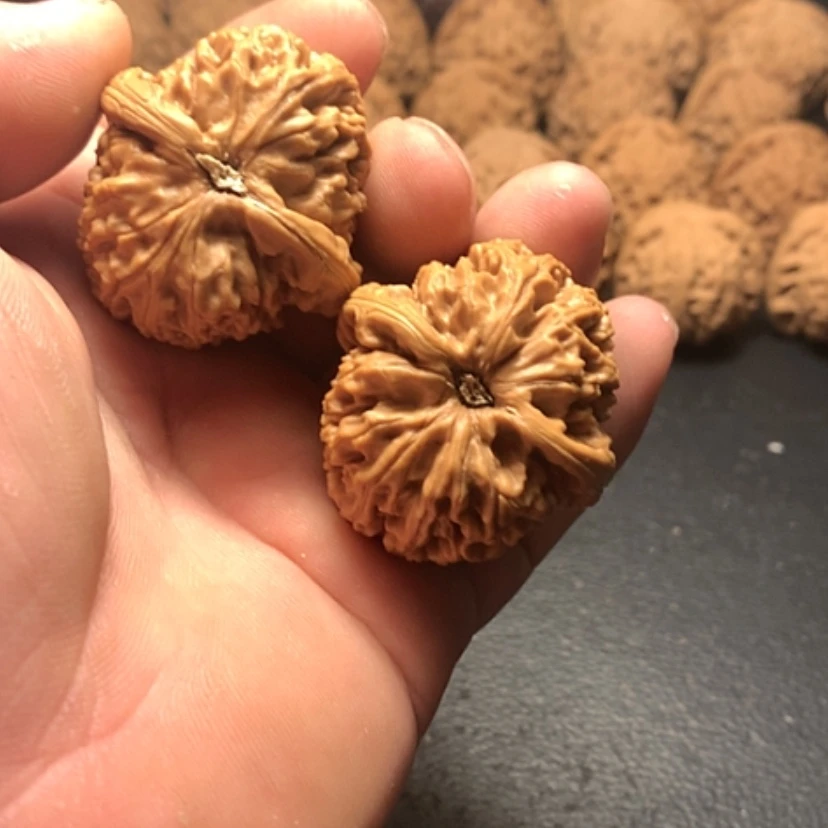 【闪购商品】文玩核桃把件白**赞水龙