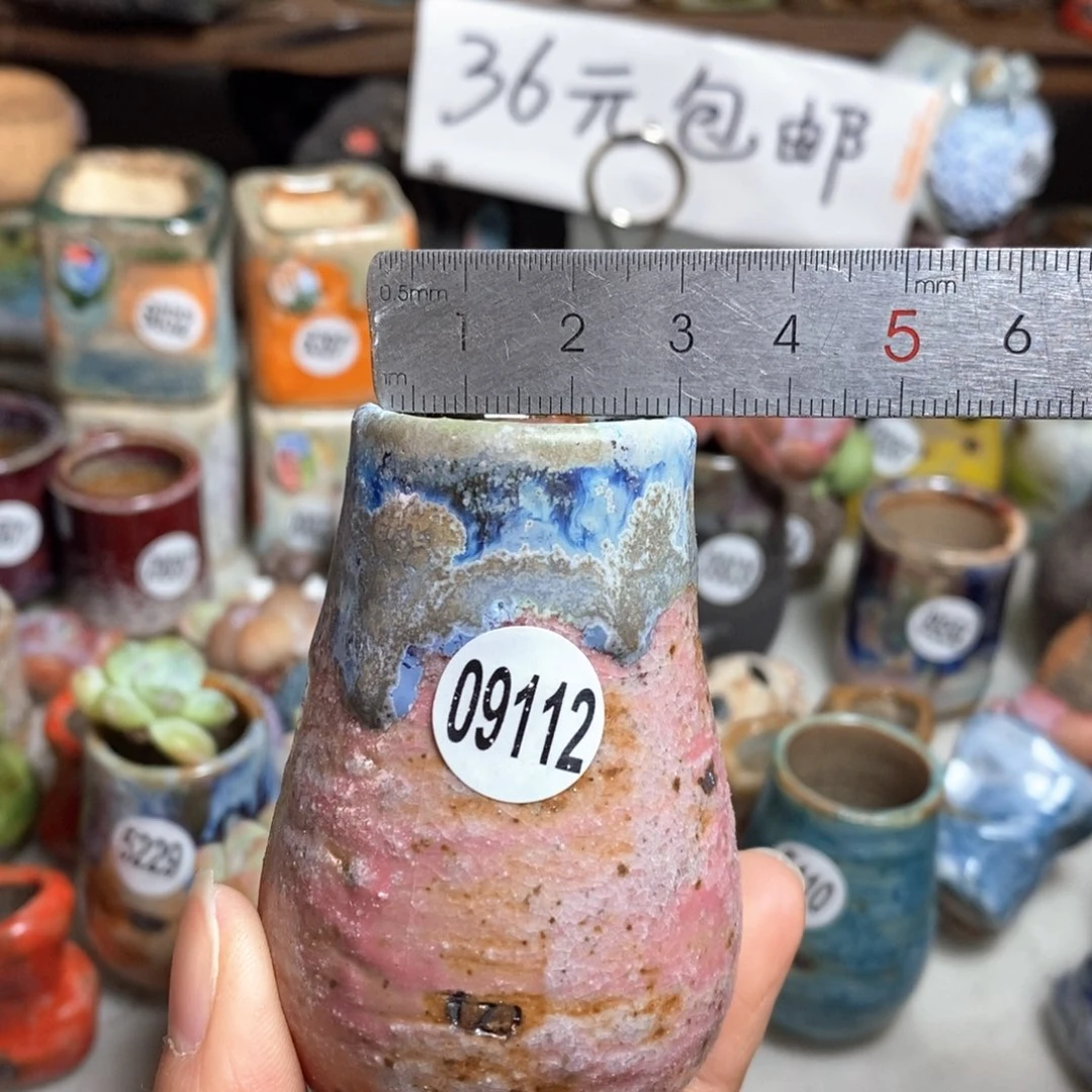 花盆拍5送一个小礼物