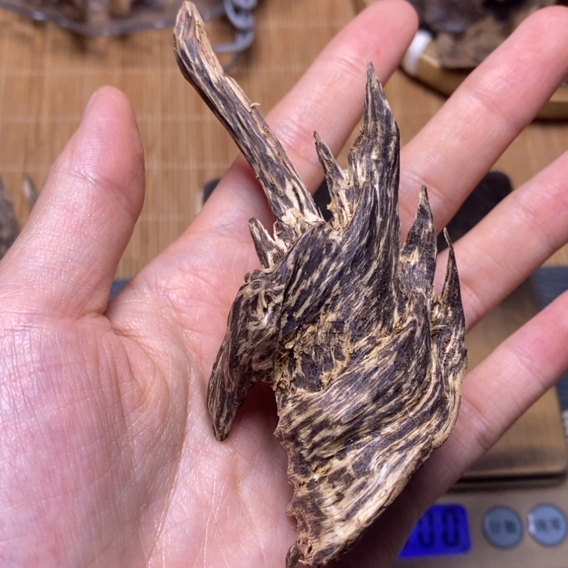 【闪购商品】香榧木壳子12.55克