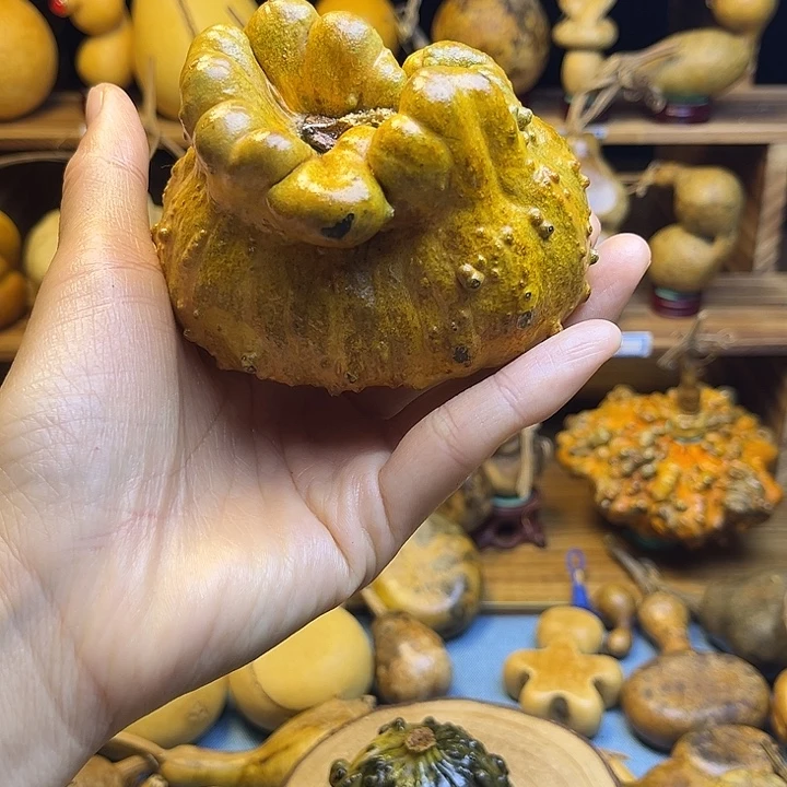 怡****葫芦15698个国家一488